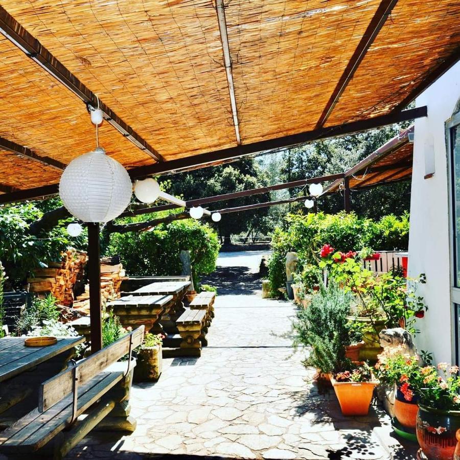 Domaine Du Berange Hotel Saint-Genies-des-Mourgues ภายนอก รูปภาพ